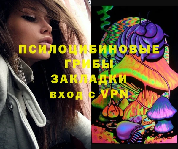 СК Покров