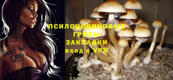 СК Покров