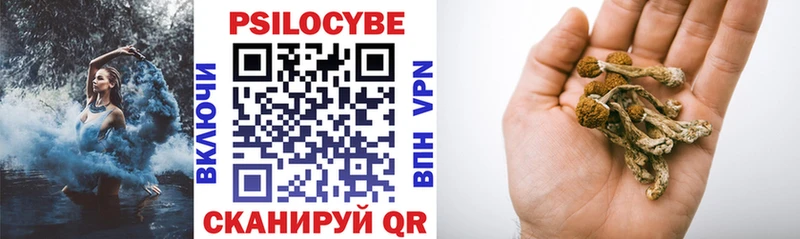 Галлюциногенные грибы Psilocybine cubensis Ардон